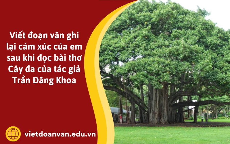 Đoạn văn ghi lại cảm xúc của em sau khi đọc bài thơ Cây đa của tác giả Trần Đăng Khoa