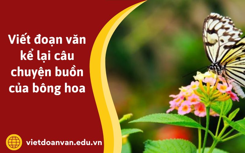 Đoạn văn kể lại câu chuyện buồn của bông hoa