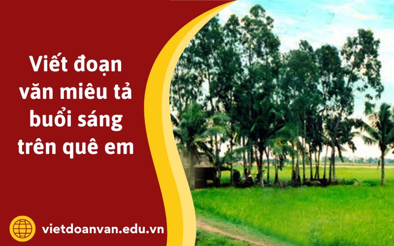 Đoạn văn miêu tả buổi sáng trên quê em