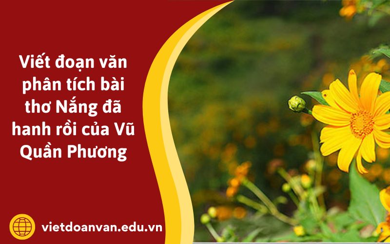 Đoạn văn phân tích bài thơ Nắng đã hanh rồi của Vũ Quần Phương