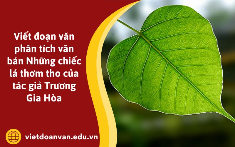 Đoạn văn phân tích văn bản Những chiếc lá thơm tho của tác giả Trương Gia Hòa