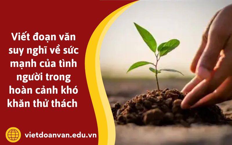 Đoạn văn suy nghĩ về sức mạnh của tình người trong hoàn cảnh khó khăn thử thách