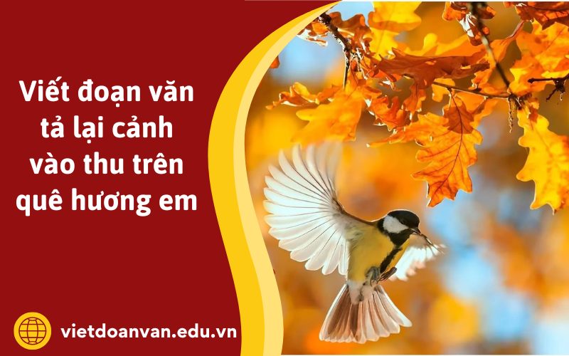 Đoạn văn tả lại cảnh vào thu trên quê hương em