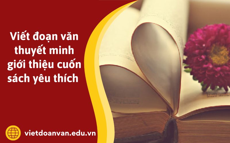 Đoạn văn thuyết minh giới thiệu cuốn sách yêu thích