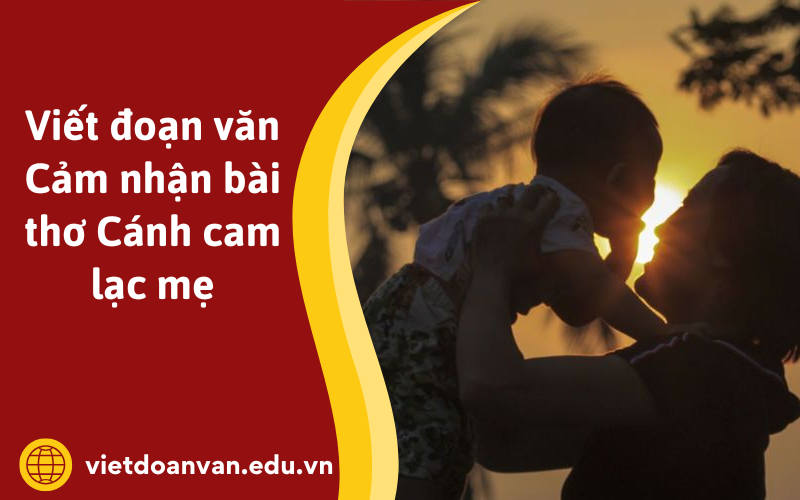 Đoạn văn Cảm nhận bài thơ Cánh cam lạc mẹ