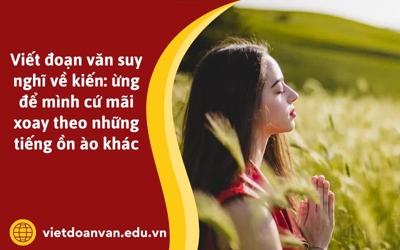 Đoạn văn suy nghĩ về kiến: Đừng để mình cứ mãi xoay theo những tiếng ồn ào khác