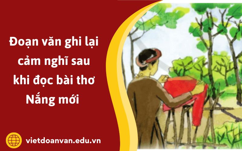 Đoạn văn ghi lại cảm nghĩ sau khi đọc bài thơ Nắng mới