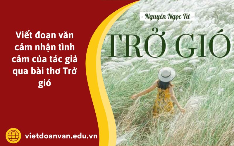 Đoạn văn cảm nhận tình cảm của tác giả qua bài thơ Trở gió