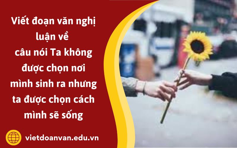 Đoạn văn nghị luận về câu nói Ta không được chọn nơi mình sinh ra nhưng ta được chọn cách mình sẽ sống