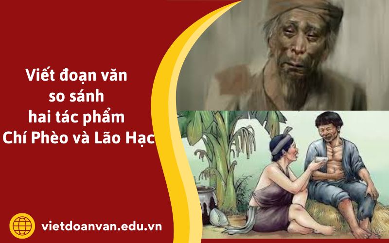 Đoạn văn so sánh hai tác phẩm Chí Phèo và Lão Hạc