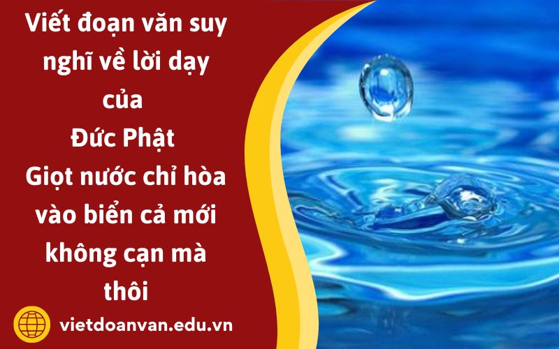 Viết đoạn văn suy nghĩ về lời dạy của Đức Phật Giọt nước chỉ hòa vào biển cả mới không cạn mà thôi