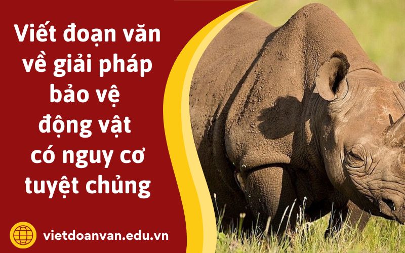 Đoạn văn về giải pháp bảo vệ động vật có nguy cơ tuyệt chủng