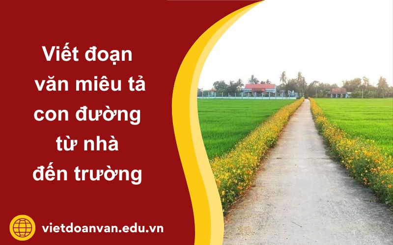 Đoạn văn miêu tả con đường từ nhà đến trường