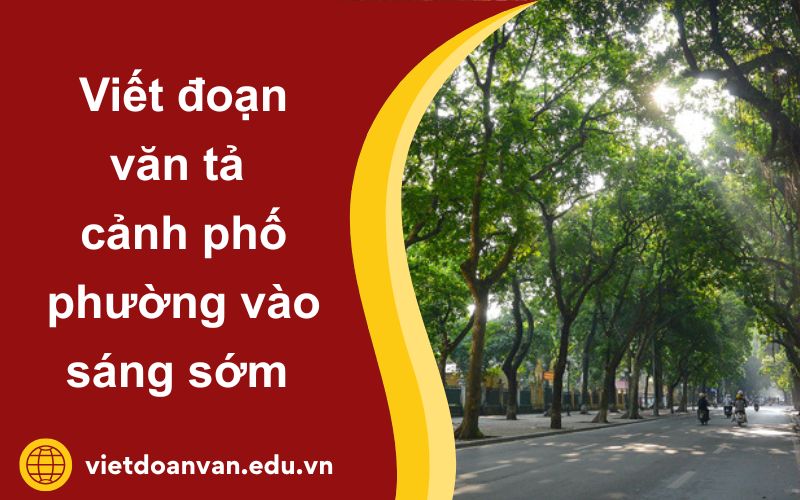 Đoạn văn tả cảnh phố phường vào sáng sớm lớp 5 ấn tượng nhất