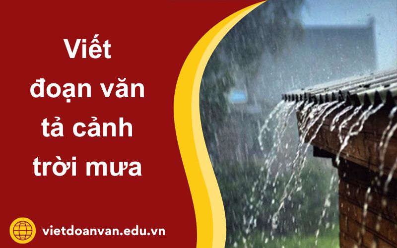 Đoạn văn tả cảnh trời mưa lớp 5 ngắn nhất