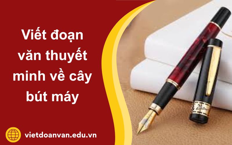 Đoạn văn thuyết minh về cây bút máy