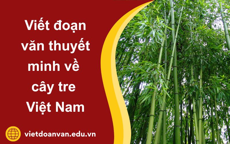 Đoạn văn thuyết minh về cây tre Việt Nam