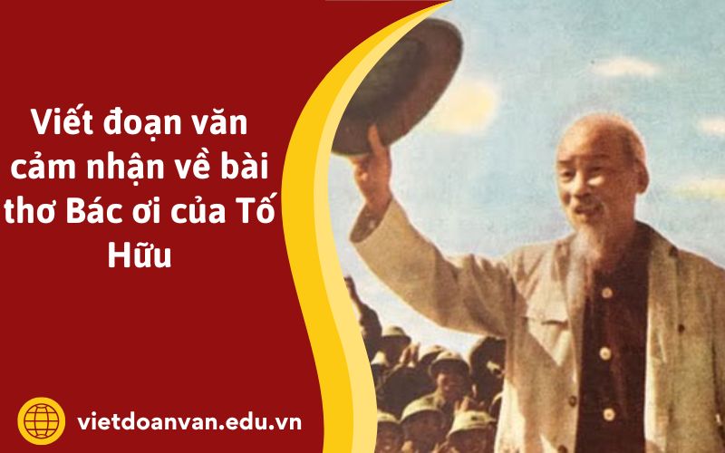 Viết đoạn văn cảm nhận về bài thơ Bác ơi của Tố Hữu