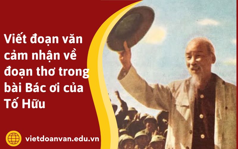 Viết đoạn văn cảm nhận về đoạn thơ trong bài Bác ơi của Tố Hữu
