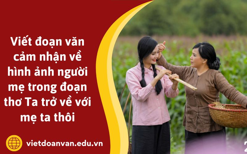 Viết đoạn văn cảm nhận về hình ảnh người mẹ trong đoạn thơ Ta trở về với mẹ ta thôi