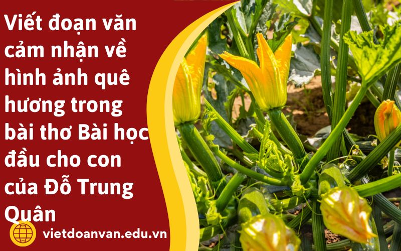 Viết đoạn văn cảm nhận về hình ảnh quê hương trong bài thơ Bài học đầu cho con của Đỗ Trung Quân