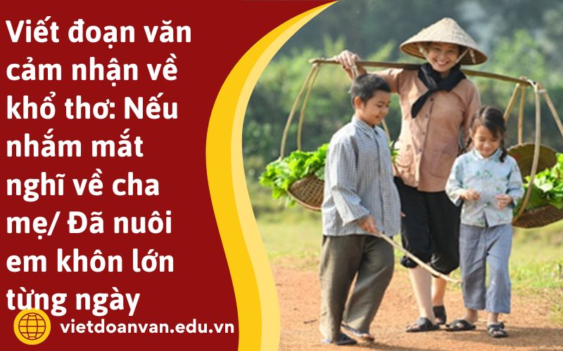 Viết đoạn văn cảm nhận về khổ thơ: Nếu nhắm mắt nghĩ về cha mẹ Đã nuôi em khôn lớn từng ngày