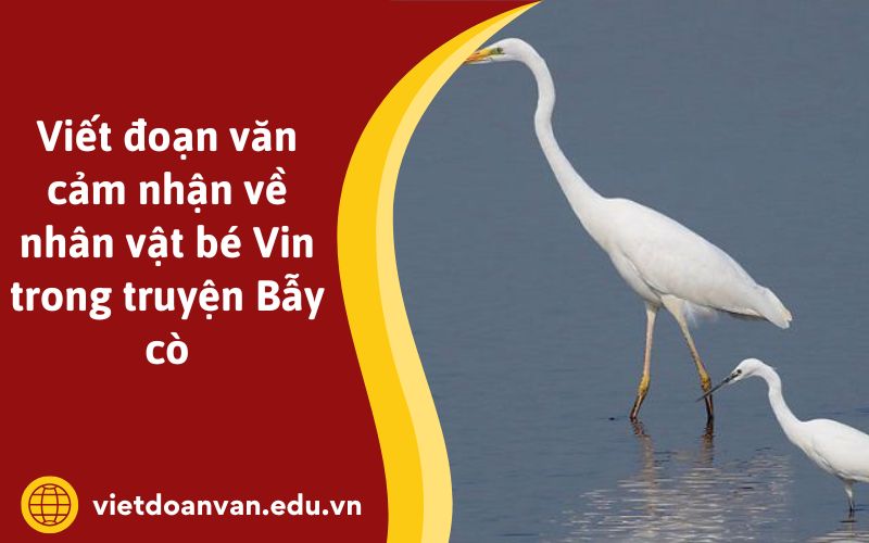 Viết đoạn văn cảm nhận về nhân vật bé Vin trong truyện Bẫy cò
