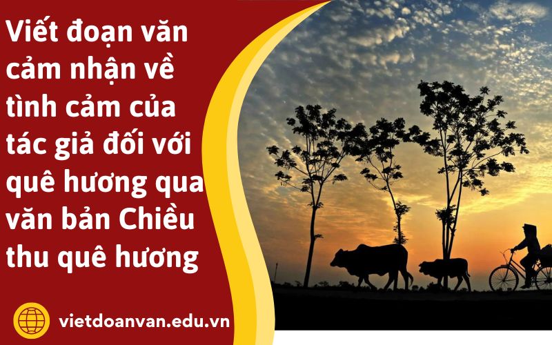 Viết đoạn văn cảm nhận về tình cảm của tác giả đối với quê hương qua văn bản Chiều thu quê hương
