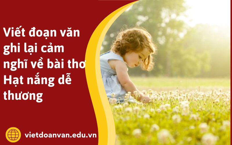 Viết đoạn văn ghi lại cảm nghĩ về bài thơ Hạt nắng dễ thương