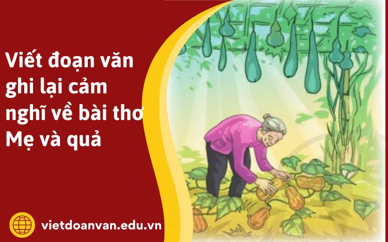 Viết đoạn văn ghi lại cảm nghĩ về bài thơ Mẹ và quả