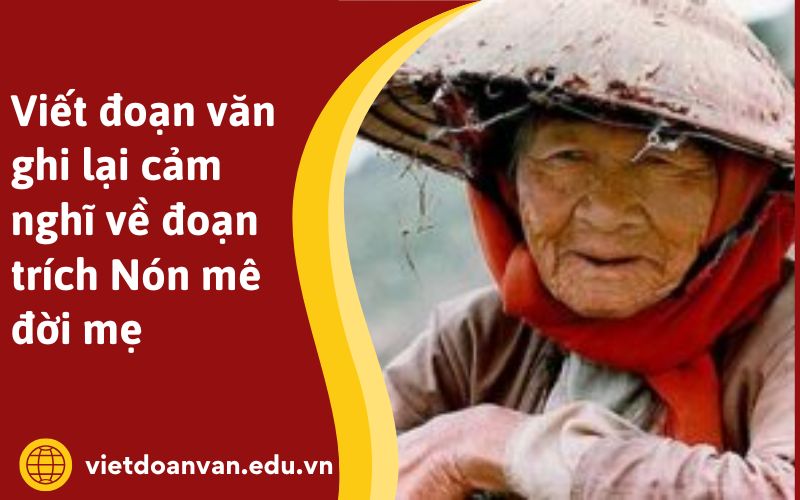 Viết đoạn văn ghi lại cảm nghĩ về đoạn trích Nón mê đời mẹ