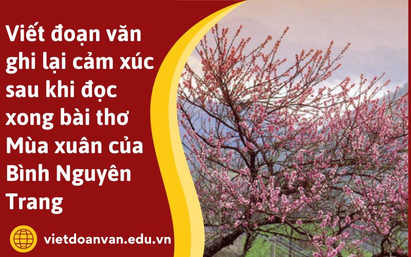 Viết đoạn văn ghi lại cảm xúc sau khi đọc xong bài thơ Mùa xuân của Bình Nguyên Trang