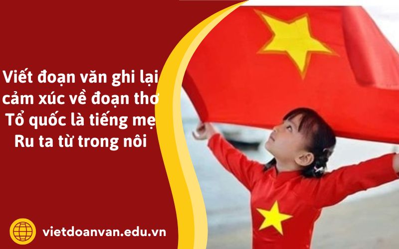 Viết đoạn văn ghi lại cảm xúc về đoạn thơ Tổ quốc là tiếng mẹ Ru ta từ trong nôi