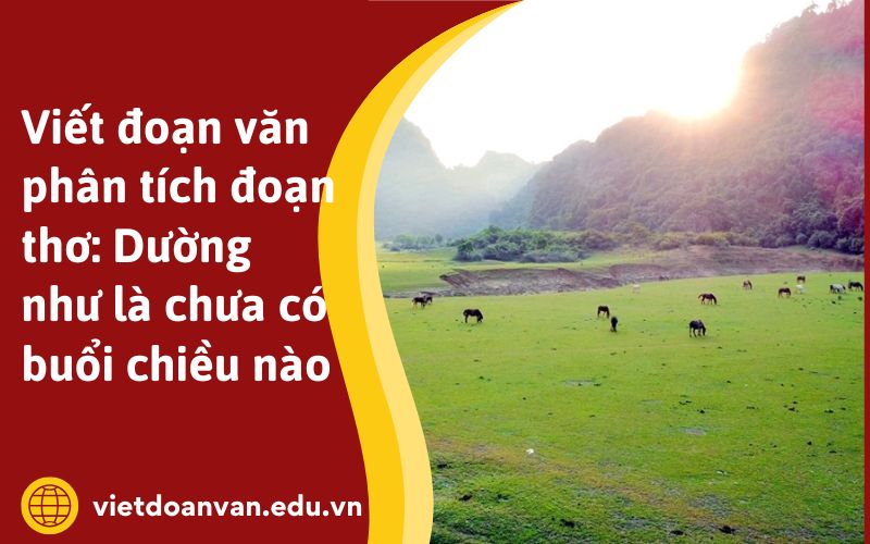 Viết đoạn văn phân tích đoạn thơ: Dường như là chưa có buổi chiều nào
