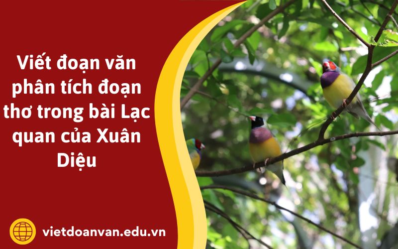 Viết đoạn văn phân tích đoạn thơ trong bài Lạc quan của Xuân Diệu