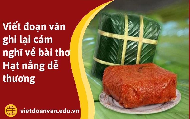 Viết đoạn văn phân tích nghệ thuật kể chuyện trong văn bản Bánh chưng gấc của Cao Xuân Sơn