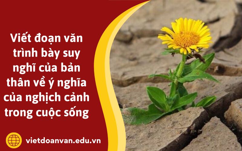 Viết đoạn văn trình bày suy nghĩ của bản thân về ý nghĩa của nghịch cảnh trong cuộc sống