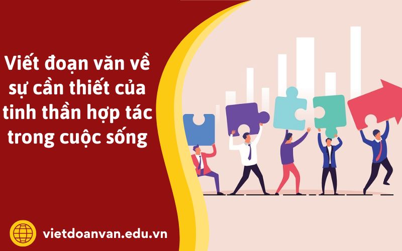Viết đoạn văn về sự cần thiết của tinh thần hợp tác trong cuộc sống