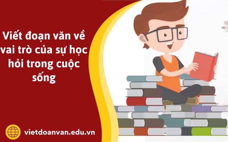 Viết đoạn văn về vai trò của sự học hỏi trong cuộc sống