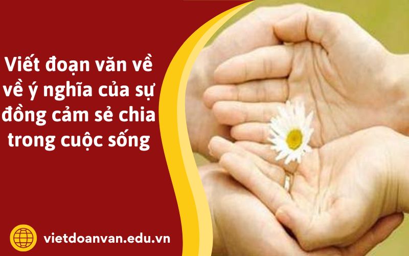 Viết đoạn văn về về ý nghĩa của sự đồng cảm sẻ chia trong cuộc sống