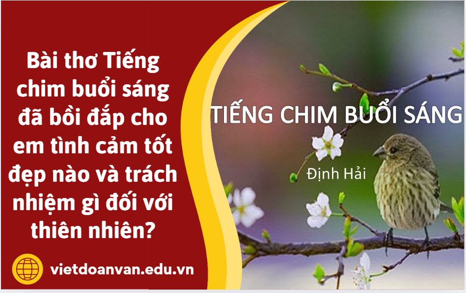 Bài thơ Tiếng chim buổi sáng đã bồi đắp cho em tình cảm tốt đẹp nào và trách nhiệm gì đối với thiên nhiên? ( Viết đoạn văn khoảng 5-7 dòng)