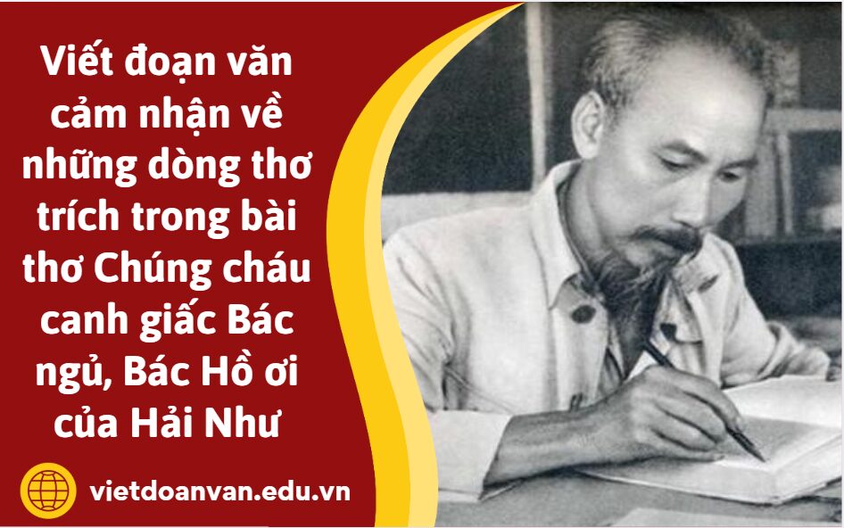 Viết đoạn văn cảm nhận về những dòng thơ trích trong bài thơ Chúng cháu canh giấc Bác ngủ, Bác Hồ ơi của Hải Như