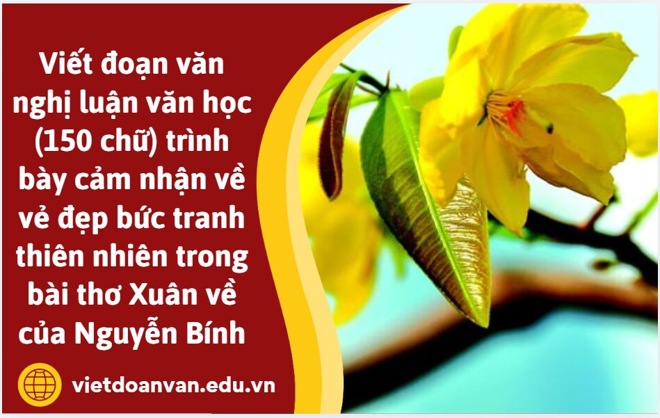 Viết đoạn văn nghị luận văn học (150 chữ) trình bày cảm nhận của anh/chị về vẻ đẹp bức tranh thiên nhiên trong bài thơ Xuân về của Nguyễn Bính