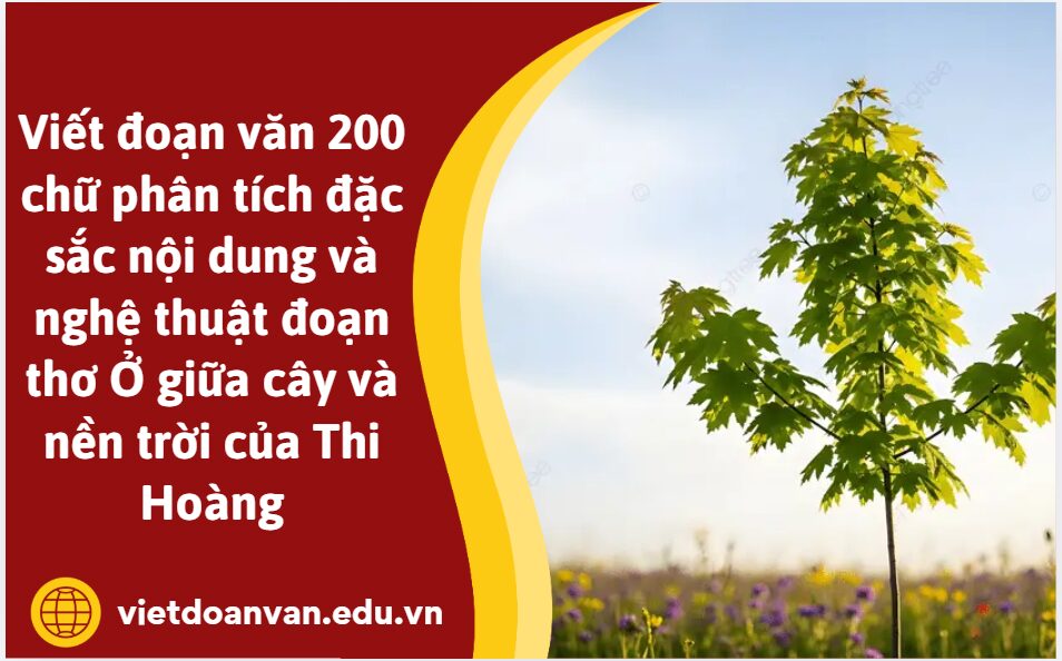 Viết đoạn văn 200 chữ phân tích đặc sắc nội dung và nghệ thuật đoạn thơ Ở giữa cây và nền trời của Thi Hoàng