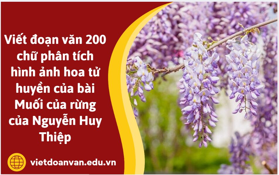Viết đoạn văn 200 chữ phân tích hình ảnh hoa tử huyền của bài Muối của rừng của Nguyễn Huy Thiệp