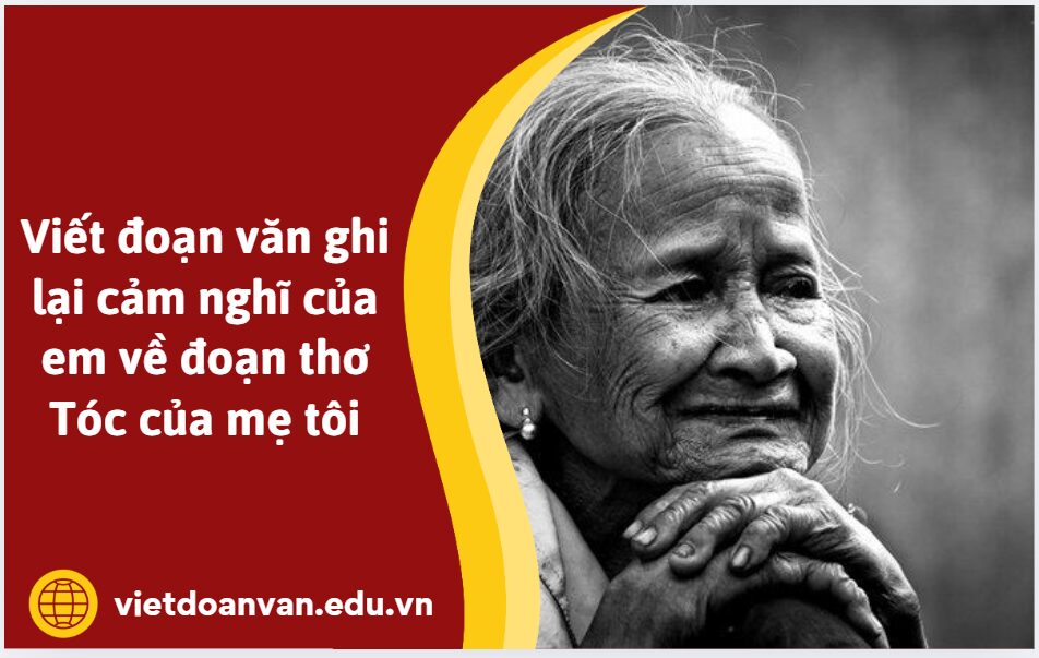 Viết đoạn văn ghi lại cảm nghĩ của em về đoạn thơ Tóc của mẹ tôi