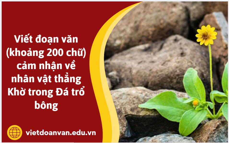 Viết đoạn văn (khoảng 200 chữ) cảm nhận về nhân vật thằng Khờ trong Đá trổ bông