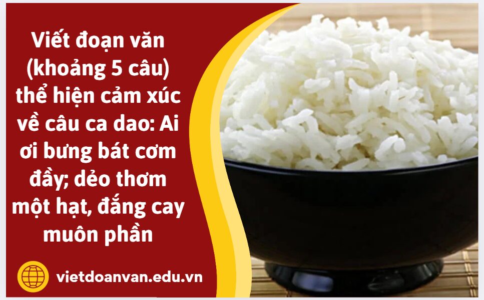 Viết đoạn văn (khoảng 5 câu) thể hiện cảm xúc về câu ca dao: Ai ơi bưng bát cơm đầy; dẻo thơm một hạt, đắng cay muôn phần