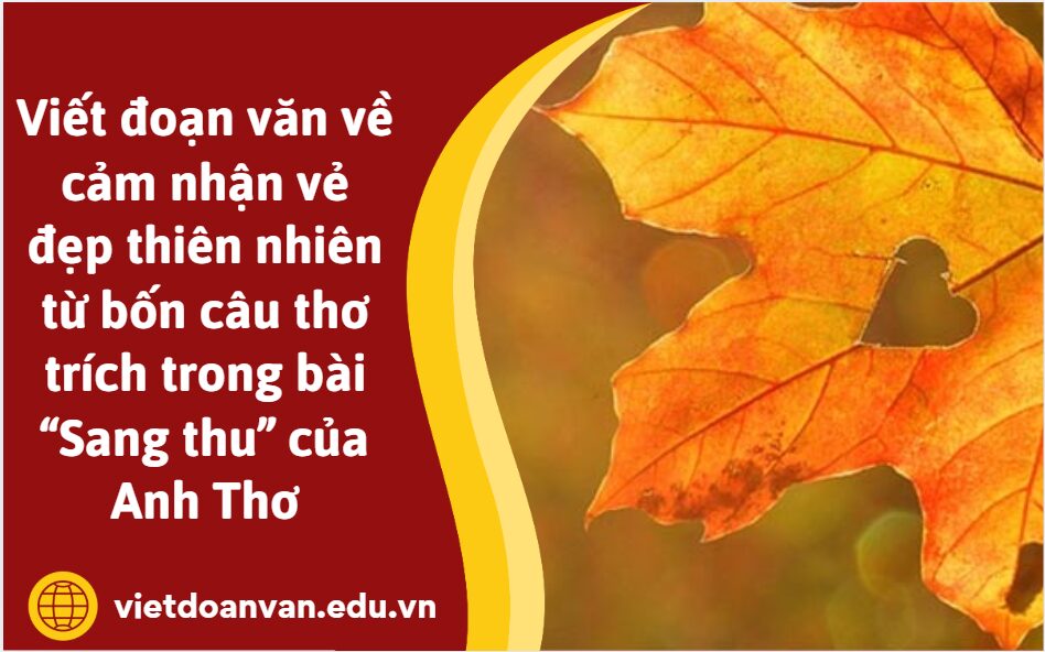 Viết đoạn văn về cảm nhận vẻ đẹp thiên nhiên từ bốn câu thơ trích trong bài “Sang thu” của Anh Thơ