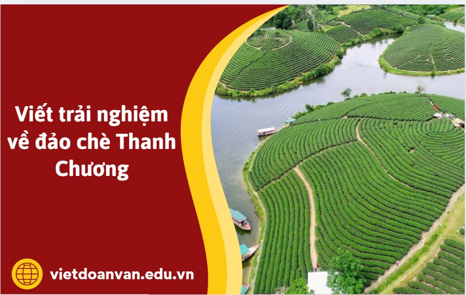Viết trải nghiệm về đảo chè Thanh Chương